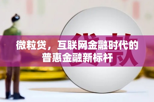 海安微粒贷，互联网金融时代的普惠金融新标杆