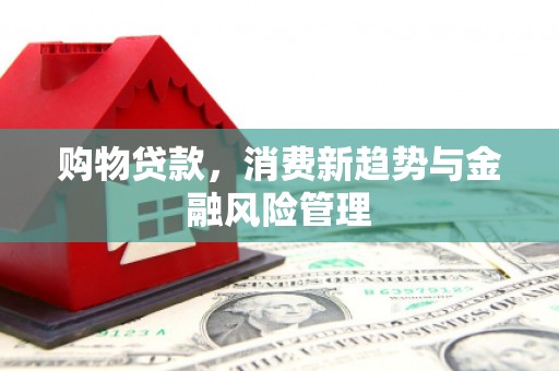沙鹿购物贷款，消费新趋势与金融风险管理