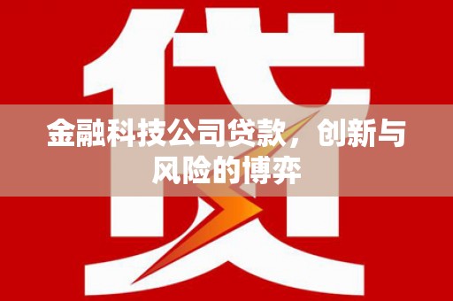 汾阳金融科技公司贷款，创新与风险的博弈