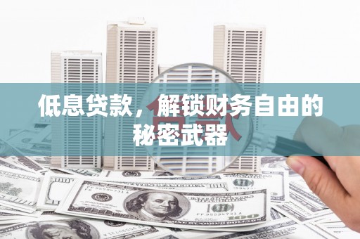龙文低息贷款，解锁财务自由的秘密武器