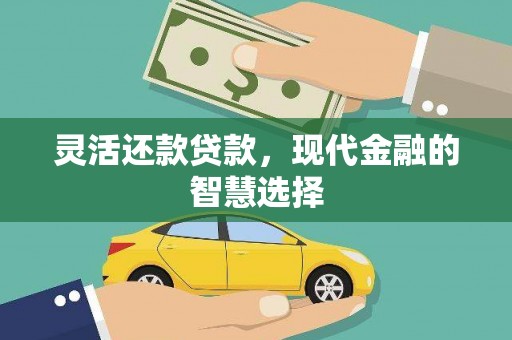 杂多灵活还款贷款，现代金融的智慧选择