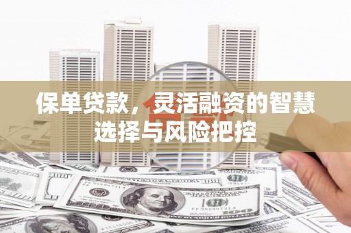 襄阳保单贷款，灵活融资的智慧选择与风险把控