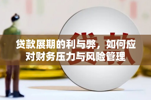 双柏贷款展期的利与弊，如何应对财务压力与风险管理