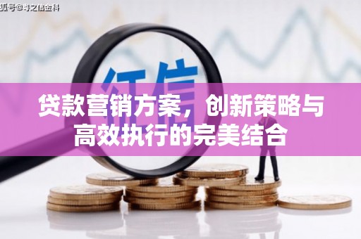 芦洲贷款营销方案，创新策略与高效执行的完美结合