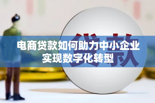 汝阳电商贷款如何助力中小企业实现数字化转型