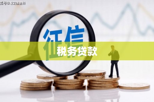 琼中税务贷款