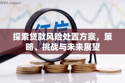 将军探索贷款风险处置方案，策略、挑战与未来展望