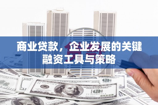 蒲江商业贷款，企业发展的关键融资工具与策略