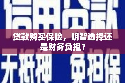莱山贷款购买保险，明智选择还是财务负担？