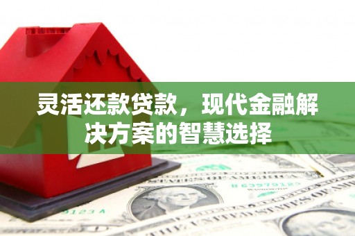鄢陵灵活还款贷款，现代金融解决方案的智慧选择