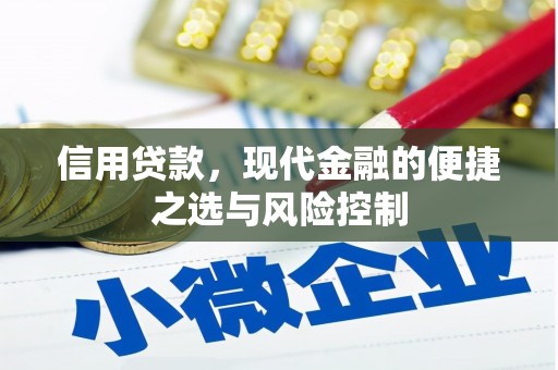 文安信用贷款，现代金融的便捷之选与风险控制
