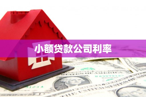 弓长岭小额贷款公司利率