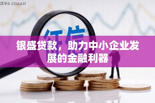 西林银盛贷款，助力中小企业发展的金融利器