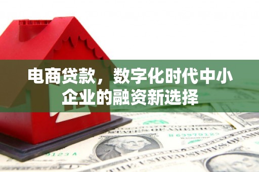 嵩县电商贷款，数字化时代中小企业的融资新选择