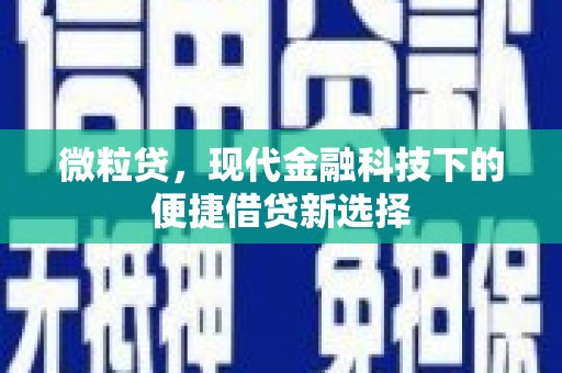 苓雅微粒贷，现代金融科技下的便捷借贷新选择
