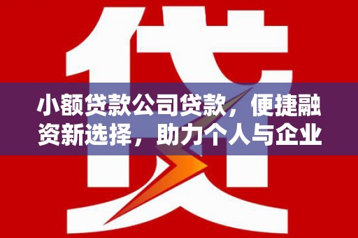 海原小额贷款公司贷款，便捷融资新选择，助力个人与企业成长