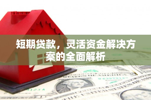 杂多短期贷款，灵活资金解决方案的全面解析