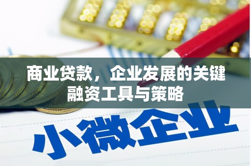 阜康商业贷款，企业发展的关键融资工具与策略