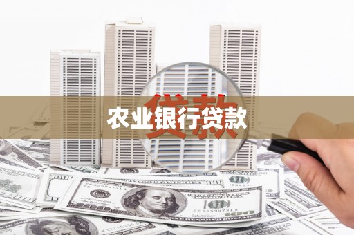来宾农业银行贷款