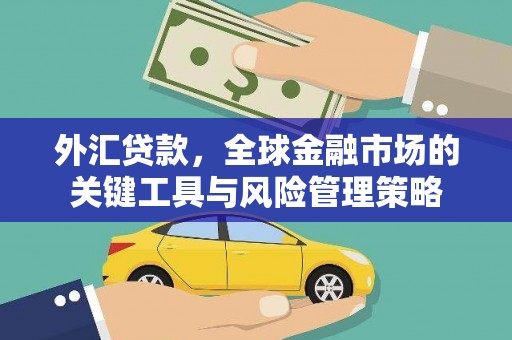 惠济外汇贷款，全球金融市场的关键工具与风险管理策略