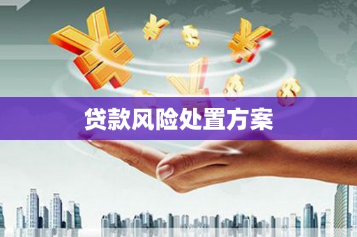 迁安市贷款风险处置方案