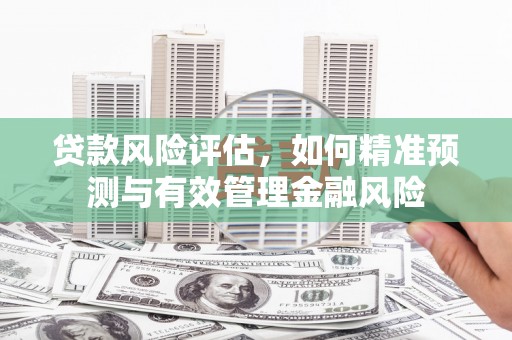 龙江贷款风险评估，如何精准预测与有效管理金融风险
