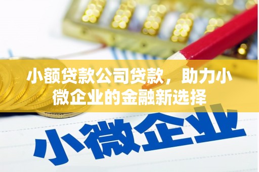 荔浦小额贷款公司贷款，助力小微企业的金融新选择