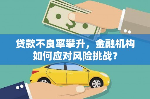 丰原贷款不良率攀升，金融机构如何应对风险挑战？