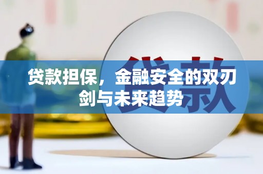 邵阳贷款担保，金融安全的双刃剑与未来趋势