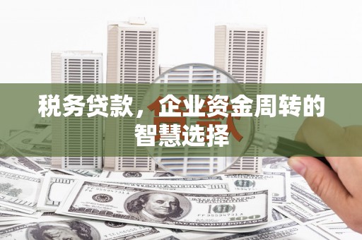 阿巴嘎旗税务贷款，企业资金周转的智慧选择
