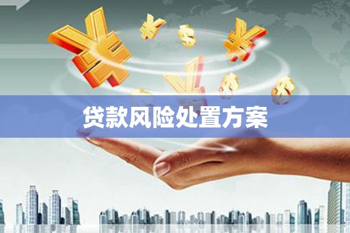 望城贷款风险处置方案