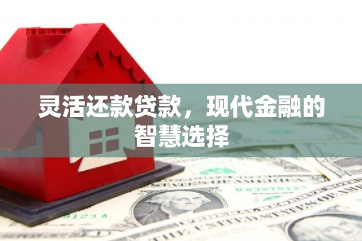 光明新区灵活还款贷款，现代金融的智慧选择