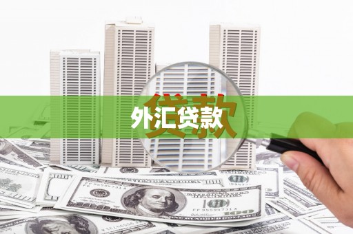 普湾新区外汇贷款