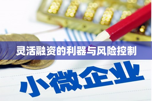 柳南灵活融资的利器与风险控制