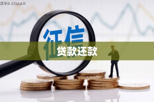 宝塔贷款还款