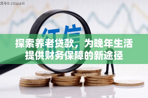 海南探索养老贷款，为晚年生活提供财务保障的新途径