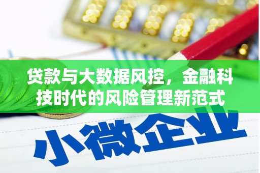 武山贷款与大数据风控，金融科技时代的风险管理新范式