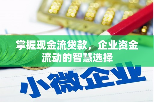 宾川掌握现金流贷款，企业资金流动的智慧选择
