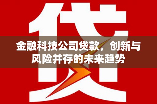 赫山金融科技公司贷款，创新与风险并存的未来趋势