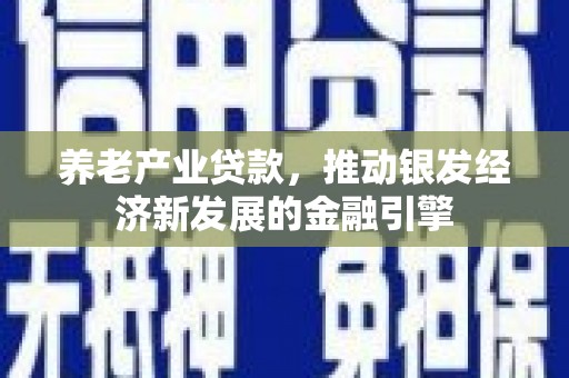 任县养老产业贷款，推动银发经济新发展的金融引擎
