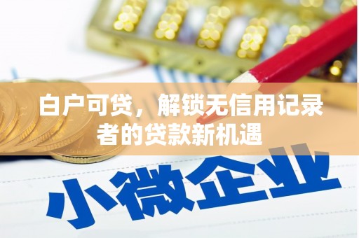 麦寮白户可贷，解锁无信用记录者的贷款新机遇