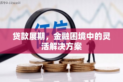 南郊贷款展期，金融困境中的灵活解决方案