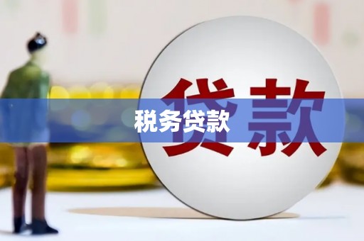 东光税务贷款