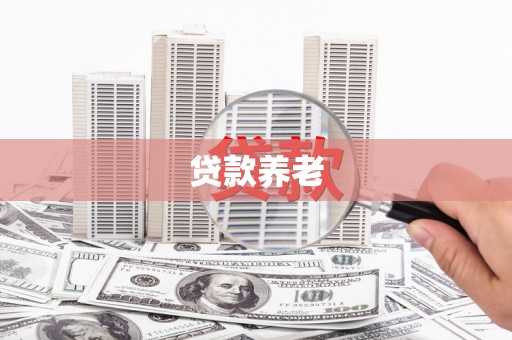 金秀贷款养老