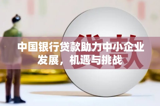 富平中国银行贷款助力中小企业发展，机遇与挑战