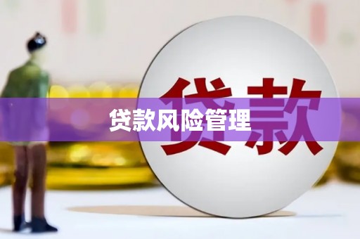 敦煌贷款风险管理
