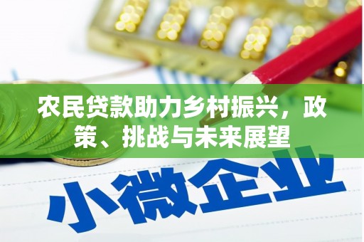 通霄农民贷款助力乡村振兴，政策、挑战与未来展望