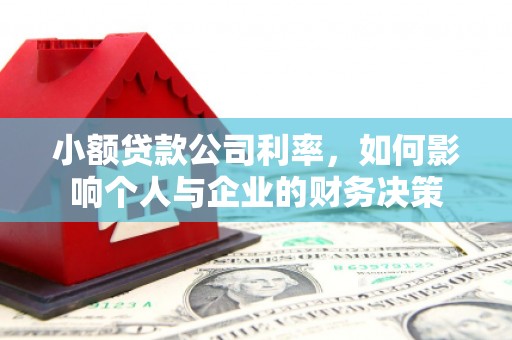 渭城小额贷款公司利率，如何影响个人与企业的财务决策