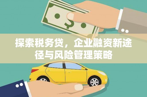 界首探索税务贷，企业融资新途径与风险管理策略