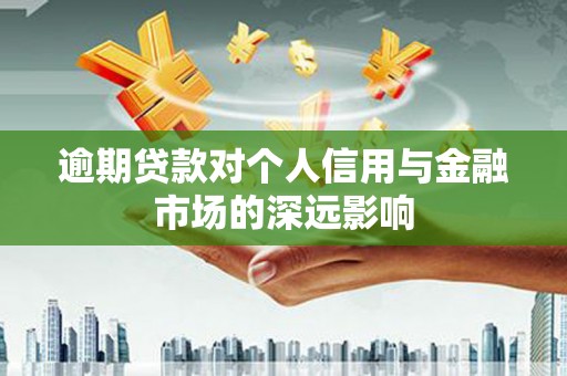 贞丰逾期贷款对个人信用与金融市场的深远影响